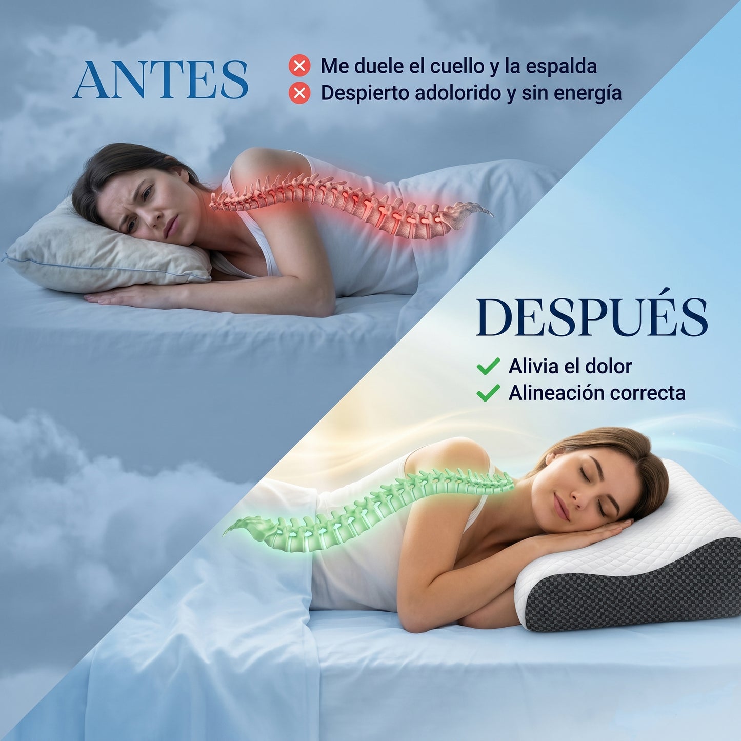 SLEEVO - Almohada Cervical + Funda GRATIS
